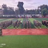 全职高中语文老师