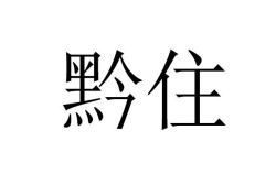 魚泡網(wǎng)