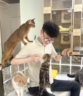 唱歌主播