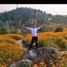 长沙岳麓区招弱电/安防会看敷设表接弱电控制,给PLC电柜配电,会看懂图纸,能接电气元件,不属于安防类,属