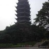 广东湛江廉江市招聘现在茂名、、增城等地区今年荔枝成熟丰收。需急招工人300人。（以下工人採