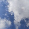 肇庆广宁县竹子之乡大量招砍青皮竹大小班组,老竹300/吨、嫩竹250/吨带装车,60米内挖