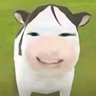 全职主播