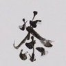 菏泽牡丹区找临时小工二名干杂活