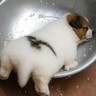 数据录入文员