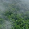 北京市东城区中海油大厦保洁员