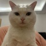 苏州昆山市岗位职责：1.负责餐厅后厨餐具、厨具的清洗、消毒及分类归位，确保符合卫生安全标准2.协助整理洗