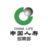 双休-人事售后专员