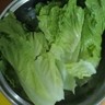 助理/行政文员