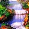 年纪不要太大，会看导航，能送外卖