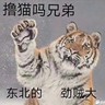 工厂坐岗保安