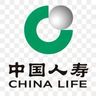 保险团队主管