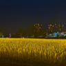 交通事故销售专员
