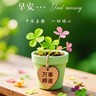 外贸负责人