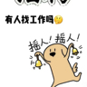 公司新媒体引流岗