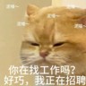 坐着上班可带手机的小厂包吃住长白班