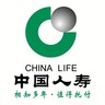 行政综合岗