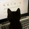 收学生工暑假工短期工，包吃住5k+