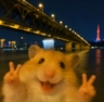 招普工月六千包吃包住