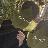 日结一天232