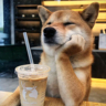 室内设计师