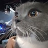 地推员或团队长