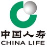 行政综合助理