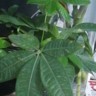 广州白云区太和招弱电/安防需要有电工证。办公区域安装摄像头6-7个点位(需要打孔固定通电即可)需要引电。