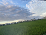 鄱阳县