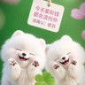 小学晚间辅导教师