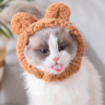 照顾老人生活起居