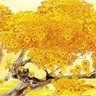 芜湖鸠江区招水电330到350一天