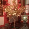 兰州城关区招腻子/大白/墙漆
