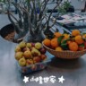 档口文员