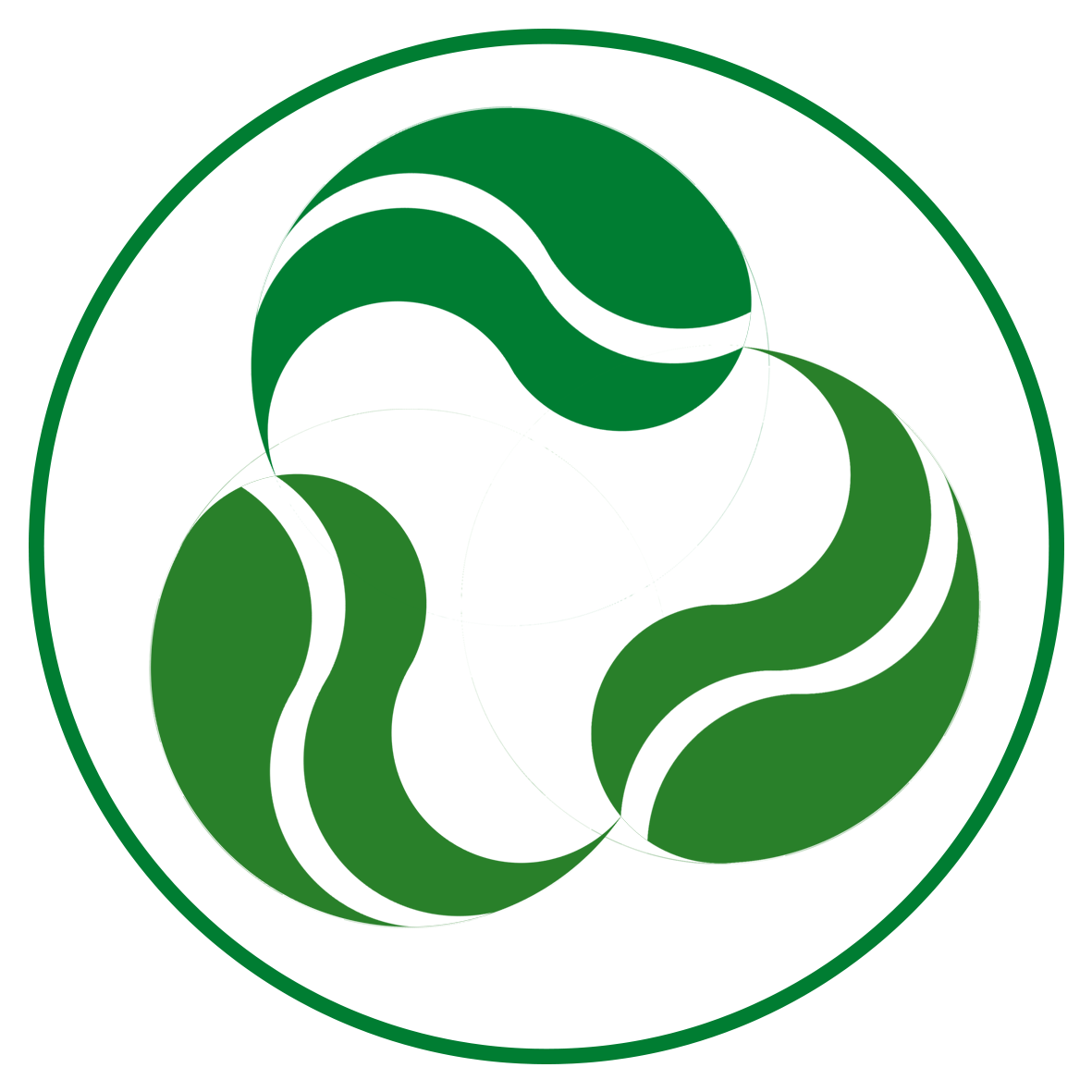 魚泡網(wǎng)