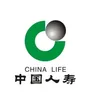 寮步-保单售后服务专员