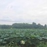 西安灞桥区洪庆地铁口处急需4名风管安装中工2名熟练工2名,年龄50岁以下,工资260-28