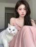宠物猫兼职客服(居家办公无套路)