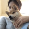 线上游戏直播达人