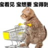 资深保险销售